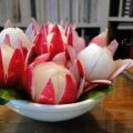 Mise en bouche - les fleurs de radis