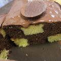 Gâteau damier : génoises chocolat et vanille au[...]