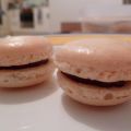 Les macarons de Gally / ABAM