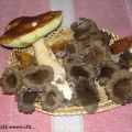 Des poires, des pommes et des scoubidou,bidou,[...]
