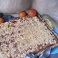 Streusel aux abricots