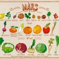 Rendez vous mensuel , les fruits et les légumes[...]