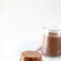 Crème légère au cacao (sans oeufs)