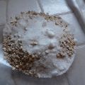cake aux flocons d'avoine et aux pommes