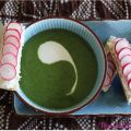 Velouté de fanes de radis