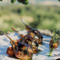 Côtelettes d'agneau caramélisées aux herbes