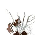 Biscuits au chocolat sapin de Noël