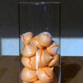 Meringues et meringuettes