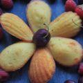 Madeleines au citron