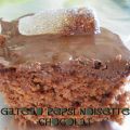 Gateau cola noisette chocolat