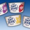 Danone lance les yogourts au lait d'avoine sous[...]
