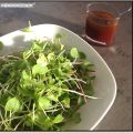 Pousses de radis du jardin et vinaigrette[...]