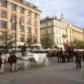 Cracovie à la Toussaint