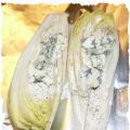 Papillottes d'endives