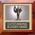 Outstanding blogger award