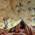 J'ai envie de cookies....ceux de Neiman Marcus.