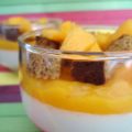 PANNA COTTA A LA CRÈME DE LAIT ET A LA MANGUE