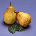 Poires au sirop