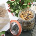 Granola orange et chocolat