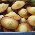 Les petites madeleines avec une belle bosse de[...]