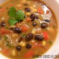 Soupe mole végétarienne