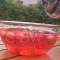kiren kompostosu [soupe froide de cranberries]