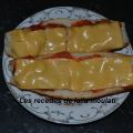 Mini pizzas ultra rapide