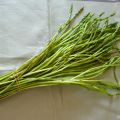 Omelette aux asperges sauvages
