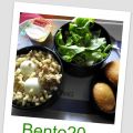 Bento 20