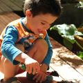 Tranches de vie en images - semaine 12 - ll[...]