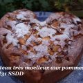 Gâteau très moelleux aux pommes TM31