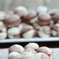 #PENOTTI : MACARONS DEUX COULEURS, VANILLE[...]