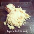Paupiettes de dinde au riz
