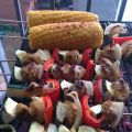 Brochette de porc au curry - Curry pork skewers