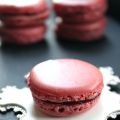 Macarons de Noël { coquelicot/pomme/canneberge }