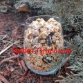 Granola maison