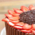 Layer cake cacao & fraises