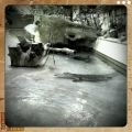 Au jardin des Plantes...