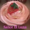 Le Sailor Et Luna