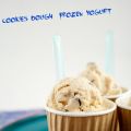 Cookie Dough Frozen Yogurt