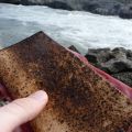 Souvenir d'Islande: flatbraud et agneau fumé