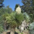 {LifeStyle} Sortie au jardin zoologique