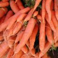 Pâté végétal aux carottes, par Mamapasta /[...]