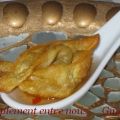 Wonton frits