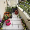Mon balcon potager
