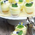 MOUSSE GÂTEAU AU FROMAGE AU CITRON