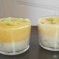 Mousse de kiwi et mangue