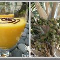 Crème de Mangue & Citron Vert