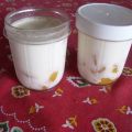 Yogourts vanillés aux pêches et miel
