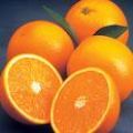 Soupe de navets et carottes à l'orange